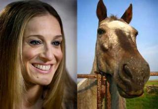 Can you tell which one is a horse and which one is good ol' SJP