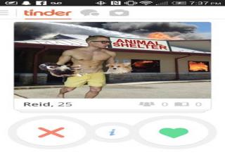 Here are some of the most clever profiles from the Tinder dating app.