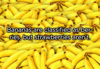 21 Unusual facts about food you probably didn't know about!