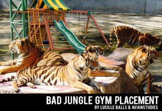 15 Terribles Places To Put A Jungle Gym