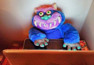 This is a glimpse of all the wonderful things that me and my pet monster do.