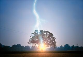 29 awesome photographs capturing one of nature's most electrifying displays.