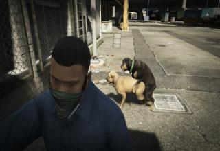 Here's a look at how one player enjoy's passing their time in the world of Grand Theft Auto V.