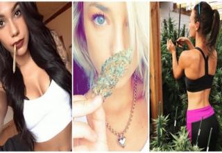 What do boys like most? Number one: beautiful girls. Number two: weed.