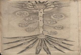 More Occult images from the Manly P. Hall Library - Gallery | eBaum's World