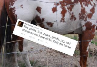 This Twitter user noticed something alarming about the toy horse his daughter got for Christmas