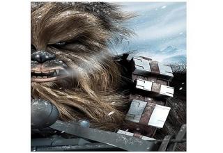 Chewie- what a Wookie...