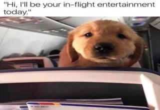 Funny pics that will hit you harder than the flight crew.
