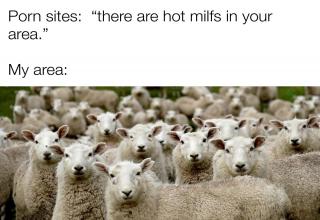 <p>Enjoy a nice assortment of hand-picked memes sure to brighten up your day.</p>