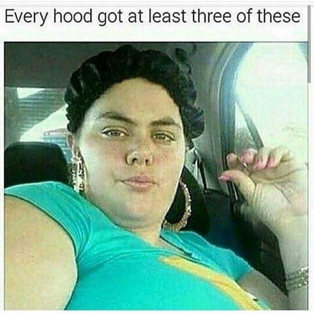 25 Funny Pics that should raise an eyebrow