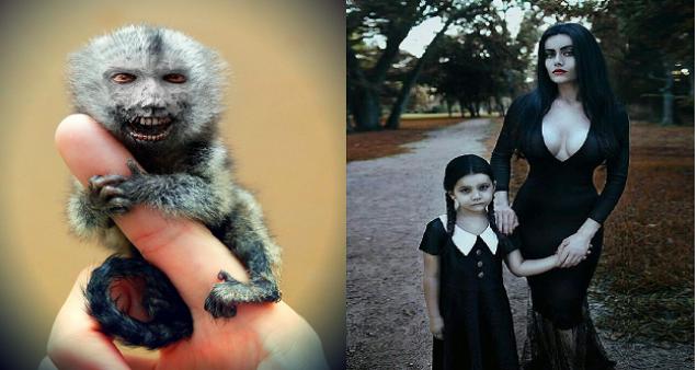 Kilgore's Nocturnal Exposition