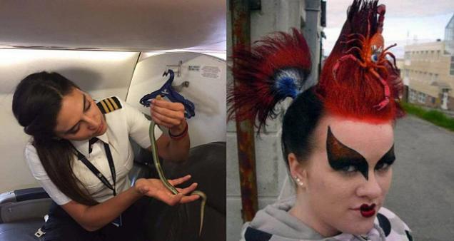 The Amusing Picture Collective