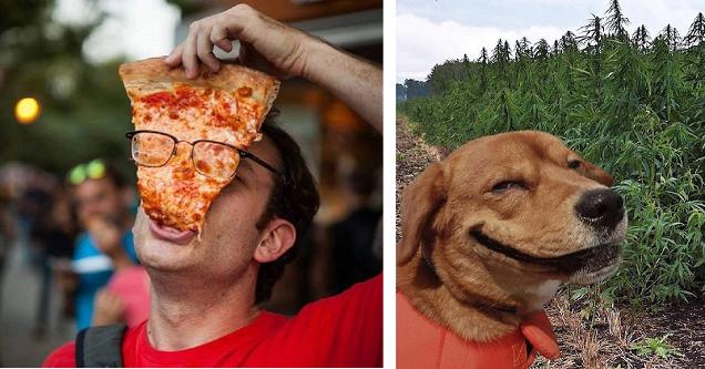 43 Piquant Pics To Mollify Your Monday