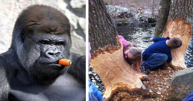 No Relevance Intended