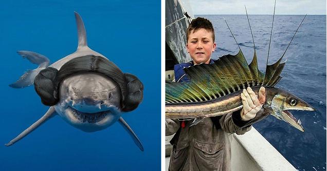 42 Awesome Pics That Will Bust A Cap In Boredom's Ass