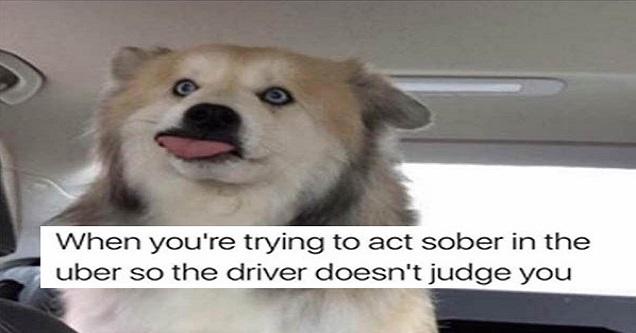 Hilarious Memes Bordering On Extreme Dankness