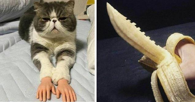 Nonchalant Compilation of 34 Remarkable Images