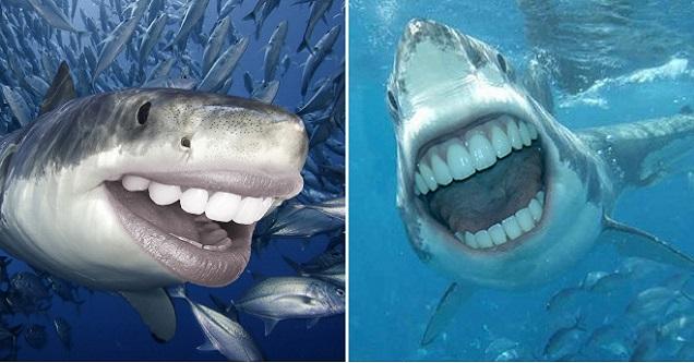 sharks-with-human-mouths-are-unsettlingly-silly-facepalm-gallery