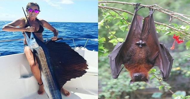 30 Odd And Interesting Things You Definitely Don't See Everyday