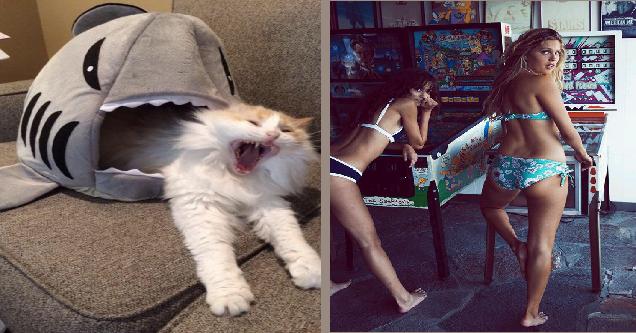 Nonchalant Compilation of 38 Remarkable Images