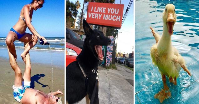 The Amusing Picture Collective