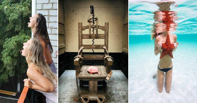 The Amusing Picture Collective