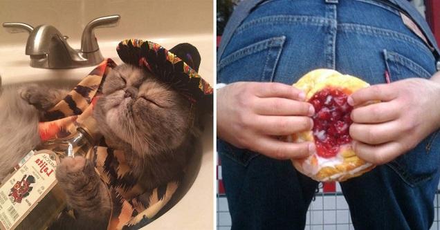 Nonchalant Compilation of 32 Remarkable Images