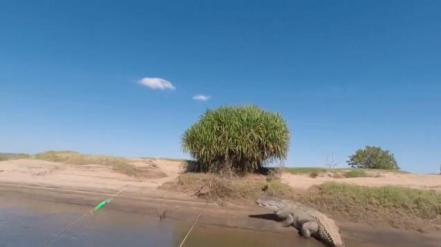 Giant Crocodile Scares Fishermen in Western Australia