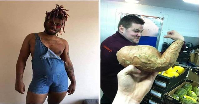 The Amusing Picture Collective