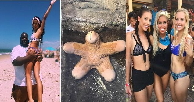 The Amusing Picture Collective