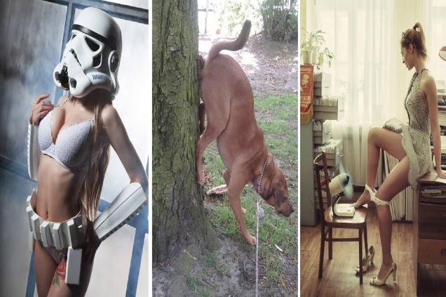 The Amusing Picture Collective