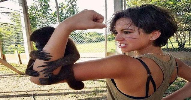 The Amusing Picture Collective