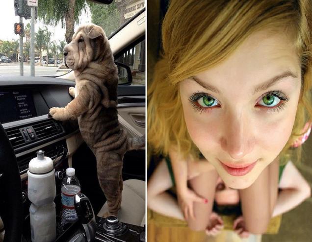 Nonchalant Compilation of 33 Remarkable Images