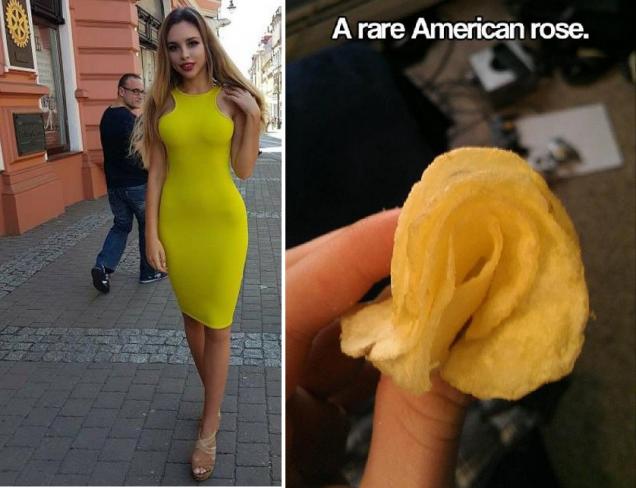 No Relevance Intended