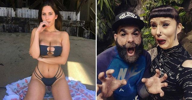 The Amusing Picture Collective