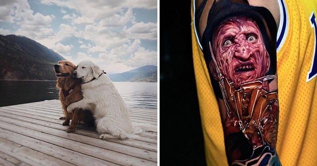 Nonchalant Compilation of 49 Remarkable Images