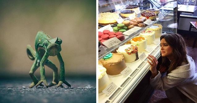 Nonchalant Compilation of 40 Remarkable Images