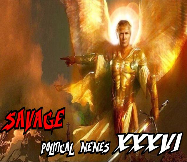 Savage Conservative Memes 36