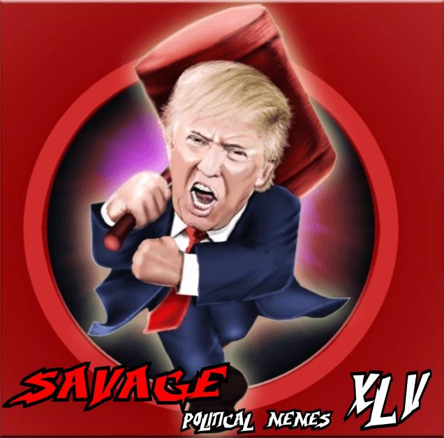 Savage Conservative Memes 45