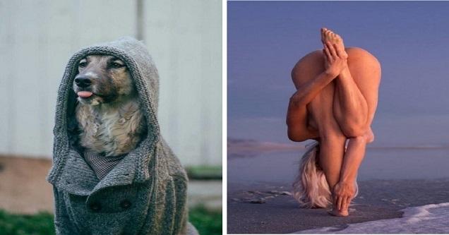 Nonchalant Compilation of 28 Remarkable Images