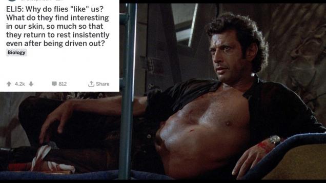 A Century Old Question Gets Answered In The Best Way Ever