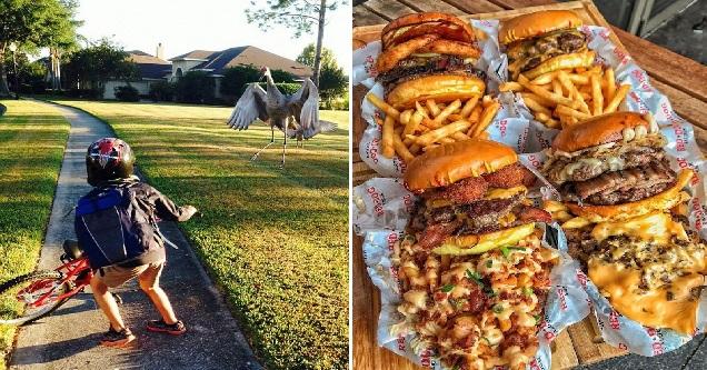 No Relevance Intended