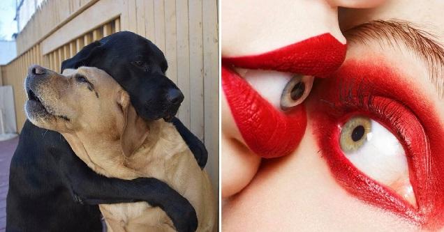 No Relevance Intended