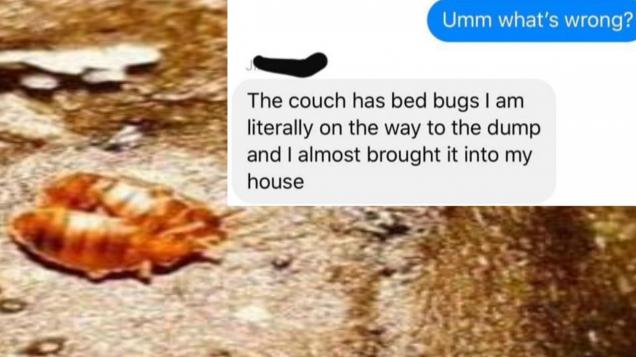 Woman tries to scam $200 with fake bedbug story.