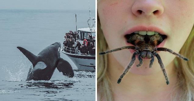 Nonchalant Compilation of 45 Remarkable Images