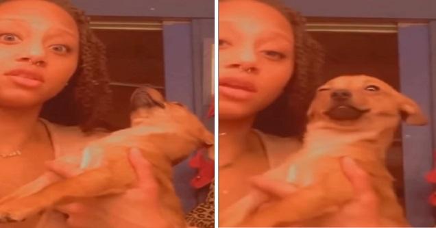 Dog Gets Hella High After Eating an Edible from the Trash