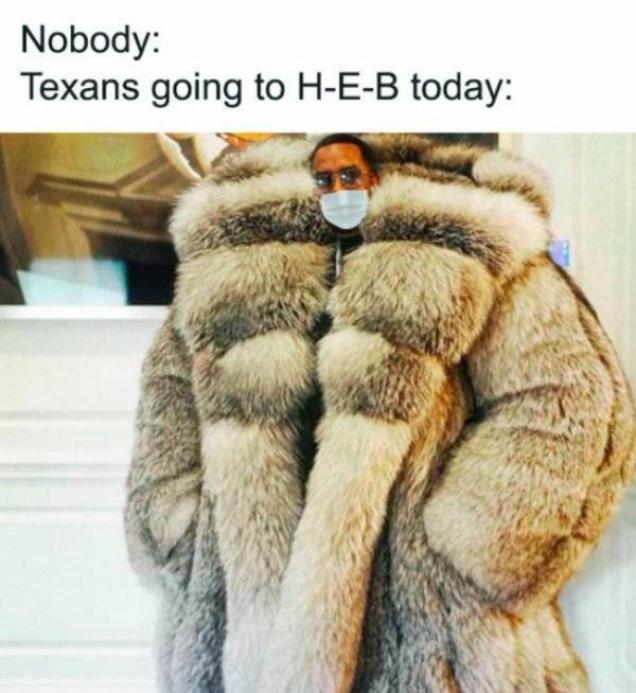 46 Memes About Texas And Snow