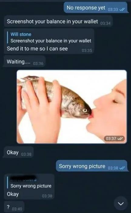 19 People Getting Payback On Scammers.