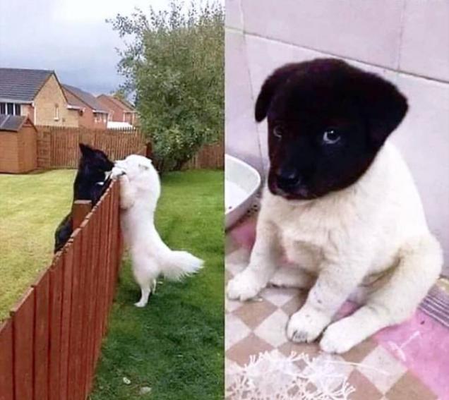 52 Awesome Choice Pics To Raise Your Fun Level