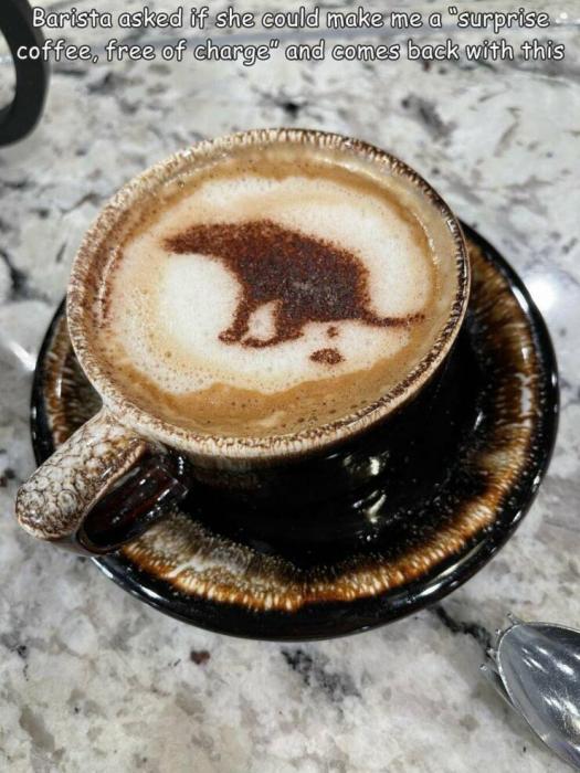 47 Fun Photos For Your Enjoyment